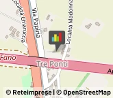 Torrefazione di Caffè ed Affini - Ingrosso e Lavorazione Fano,61032Pesaro e Urbino