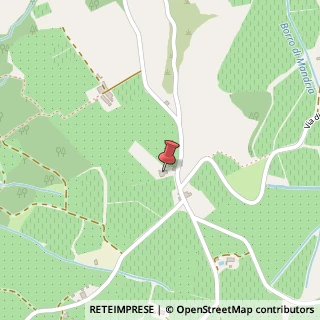 Mappa Via di Montefiesole, 48, 50065 Pontassieve, Firenze (Toscana)
