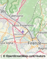 Frutta e Verdura - Dettaglio Calenzano,50041Firenze