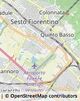 Frutta e Verdura - Dettaglio Sesto Fiorentino,50019Firenze