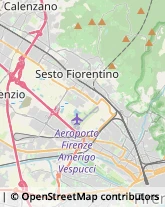 Frutta e Verdura - Dettaglio Calenzano,50041Firenze