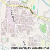 Peta Capannori