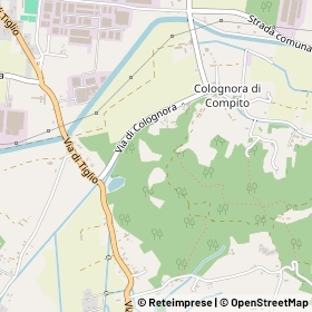 Mappa 55061