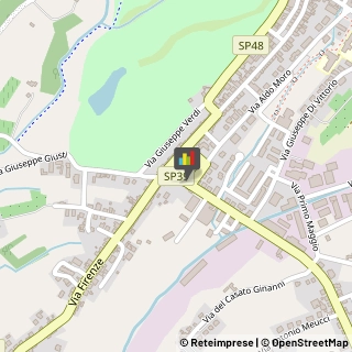 Stampe Artistiche,51035Pistoia