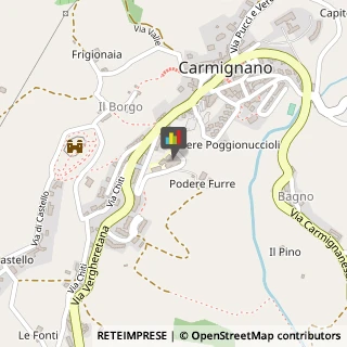 Scuole Pubbliche Carmignano,59015Prato