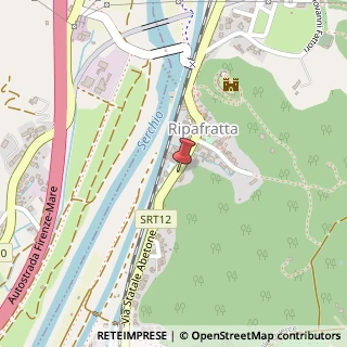 Mappa Via Statale Abetone, 318, 56017 Vecchiano, Pisa (Toscana)