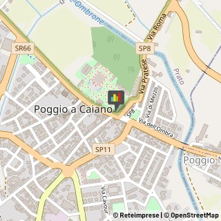 Articoli da Regalo - Dettaglio Poggio a Caiano,59016Prato