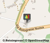 Trasporto Disabili,50139Firenze