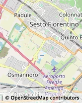 Agenzie Ippiche e Scommesse Firenze,50131Firenze