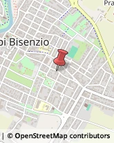 Via G. Tesi, 182,50013Campi Bisenzio