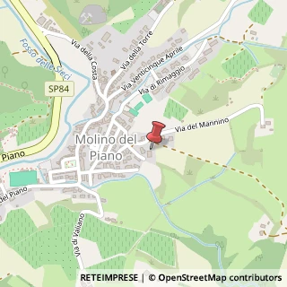 Mappa Via del Mannino, 50065 Pontassieve, Firenze (Toscana)