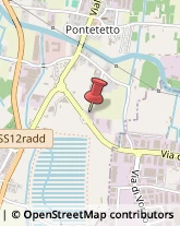 Via Sottomonte, 281,55057Lucca