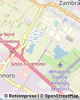 Trasportatori Meccanici Sesto Fiorentino,50019Firenze