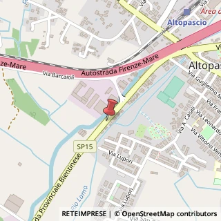 Mappa Via Bientina, 61, 55011 Altopascio, Lucca (Toscana)
