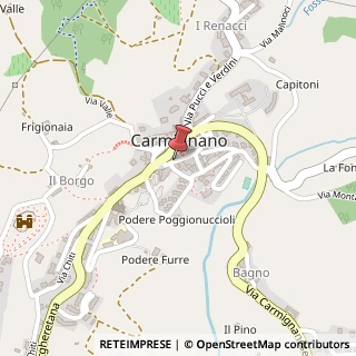 Mappa Via Ser Lapo Mazzei, 8, 59015 Carmignano, Prato (Toscana)