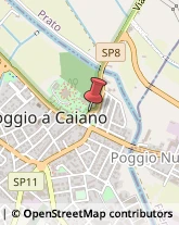 Via Lorenzo il Magnifico, 28/A,59016Poggio a Caiano