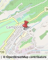 Via V. Vitoni, 54,51035Lamporecchio