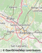 Protezione Civile - Servizi Prato,59100Prato