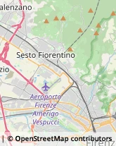 Protezione Civile - Servizi Firenze,50134Firenze