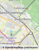 Protezione Civile - Servizi Firenze,50127Firenze