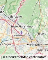 Protezione Civile - Servizi Firenze,50126Firenze