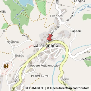 Mappa Largo della Repubblica, 6, 59015 Carmignano, Prato (Toscana)