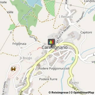 Turismo - Consulenze Carmignano,59015Prato