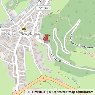 Mappa Via ehrenberg 10, 39034 Dobbiaco, Bolzano (Trentino-Alto Adige)