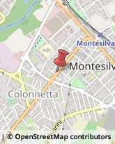 Strada Statale 16Bis Vestina, 128,65016Montesilvano