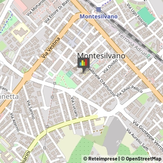 Associazioni e Federazioni Sportive Montesilvano,65015Pescara