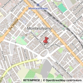 Mappa Via Tibullo, 5, 65015 Montesilvano, Pescara (Abruzzo)