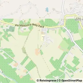 Mappa 65013
