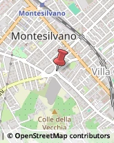 Via Giuseppe Verrotti, 5,65015Montesilvano