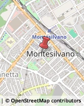 Via S. Domenico, 11,65015Montesilvano