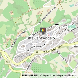 Società di Telecomunicazioni Città Sant'Angelo,65013Pescara