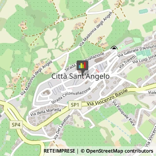 Associazioni Sindacali Città Sant'Angelo,65013Pescara