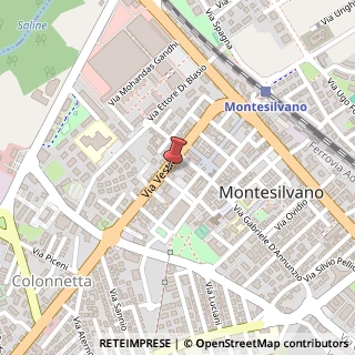 Mappa Via Vestina, 39, 65015 Montesilvano, Pescara (Abruzzo)