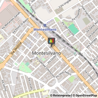 Associazioni e Federazioni Sportive Montesilvano,65015Pescara