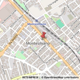 Mappa Via C. Monzani, 13, 65015 Montesilvano, Pescara (Abruzzo)