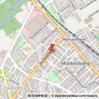 Mappa Via Vestina, 29, 65015 Montesilvano, Pescara (Abruzzo)