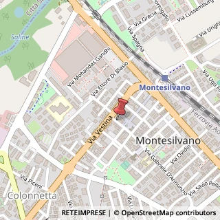 Mappa Via Gabriele D'Annunzio, 9, 65015 Montesilvano, Pescara (Abruzzo)