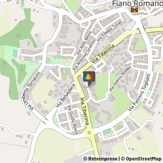 Estetiste Fiano Romano,00065Roma