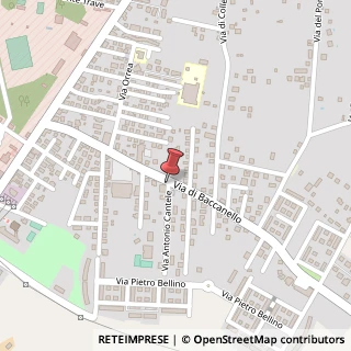 Mappa Via di Baccanello, 313, 00123 Roma, Roma (Lazio)