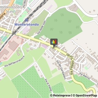 Fisiokinesiterapia - Medici Specialisti,00015Roma