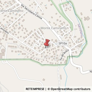 Mappa Via delle Acacie, 14, 00060 Sacrofano, Roma (Lazio)