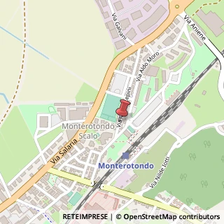 Mappa Via Pordenone, 94, 00015 Monterotondo, Roma (Lazio)