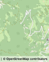 Componenti e Ricambi Auto Bressanone,39042Bolzano