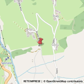 Mappa Strada Col Pin?i, 21, 39036 Badia, Bolzano (Trentino-Alto Adige)