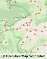 Articoli Sportivi - Dettaglio Bressanone,39042Bolzano