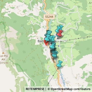 Mappa Strada Runcac, 39036 Badia BZ, Italia (0.4555)
